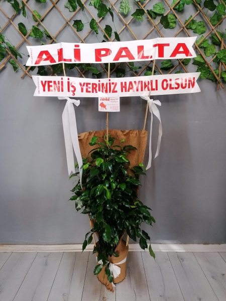İŞ YERİ HAYIRLI OLSUN