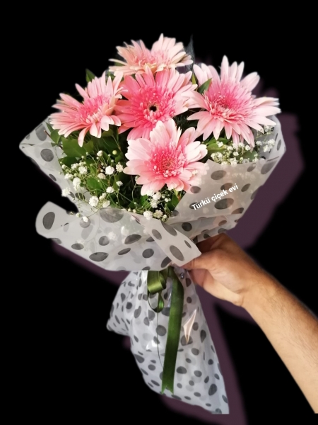PEMBE RÜYA (GERBERA)